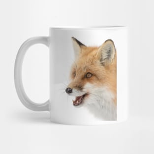 Red Fox - Algonquin Park Mug
